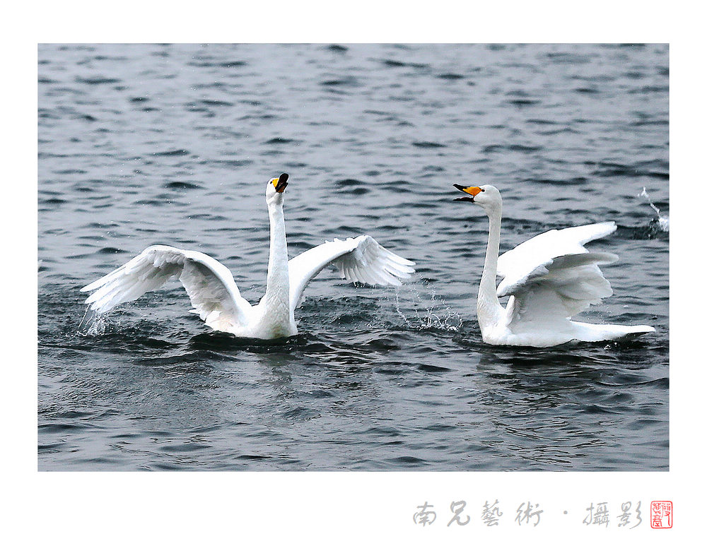 对歌