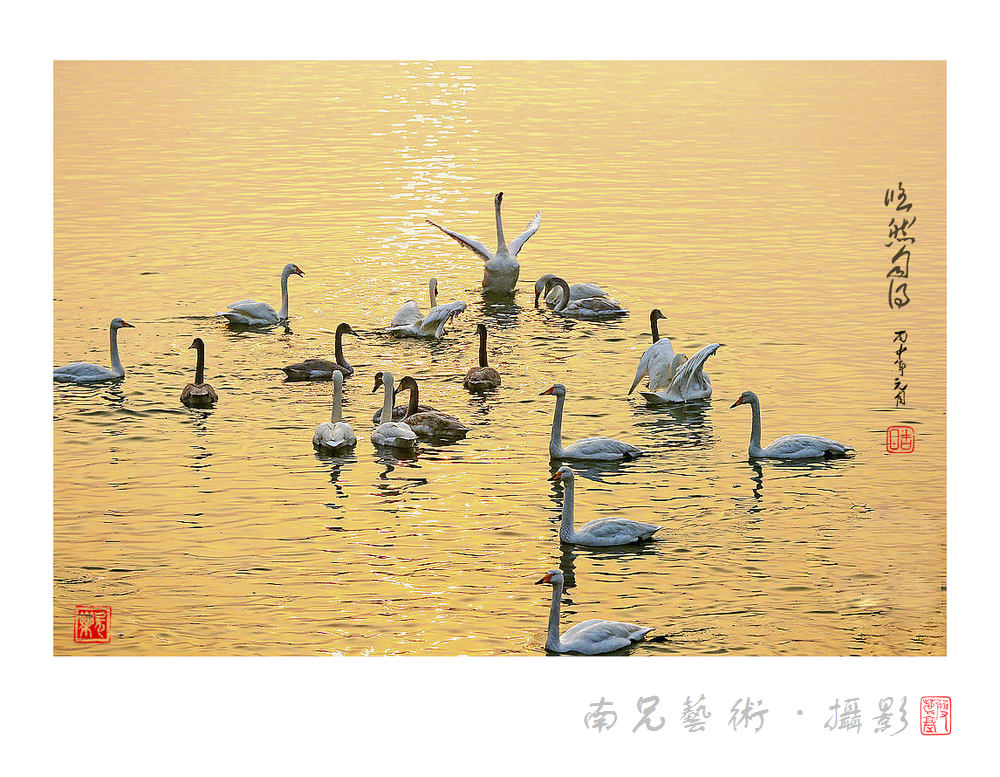 悠然自得