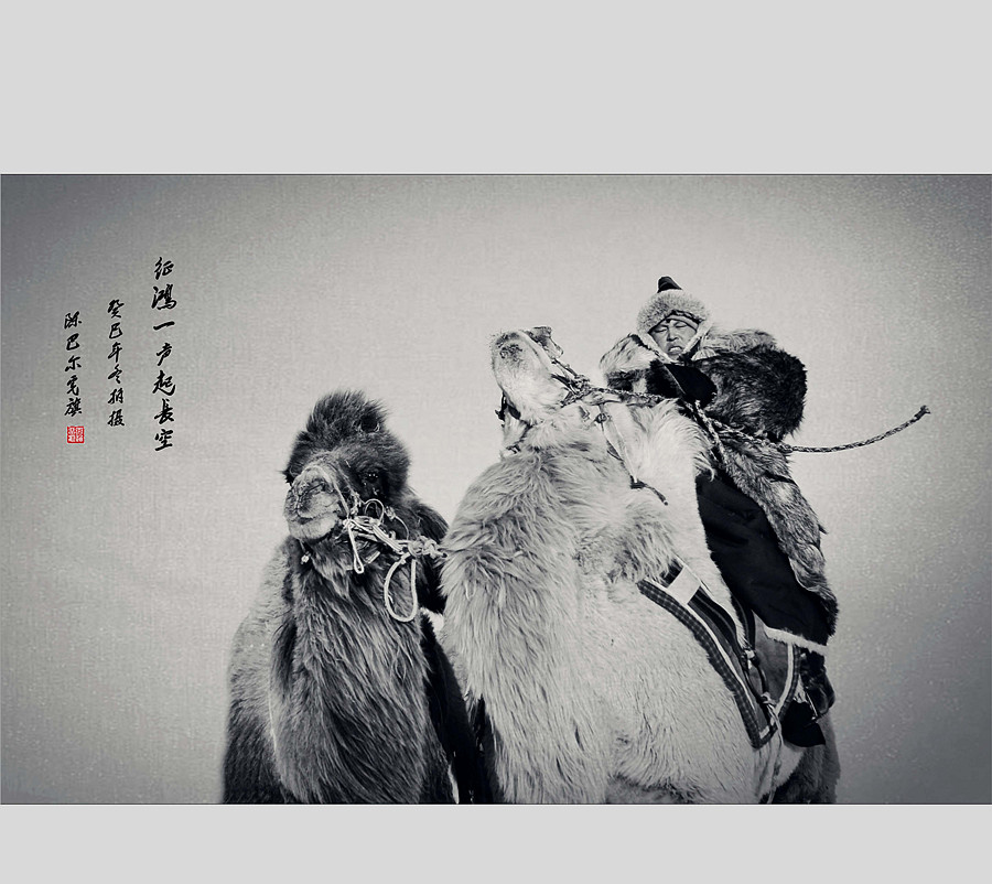 驼手