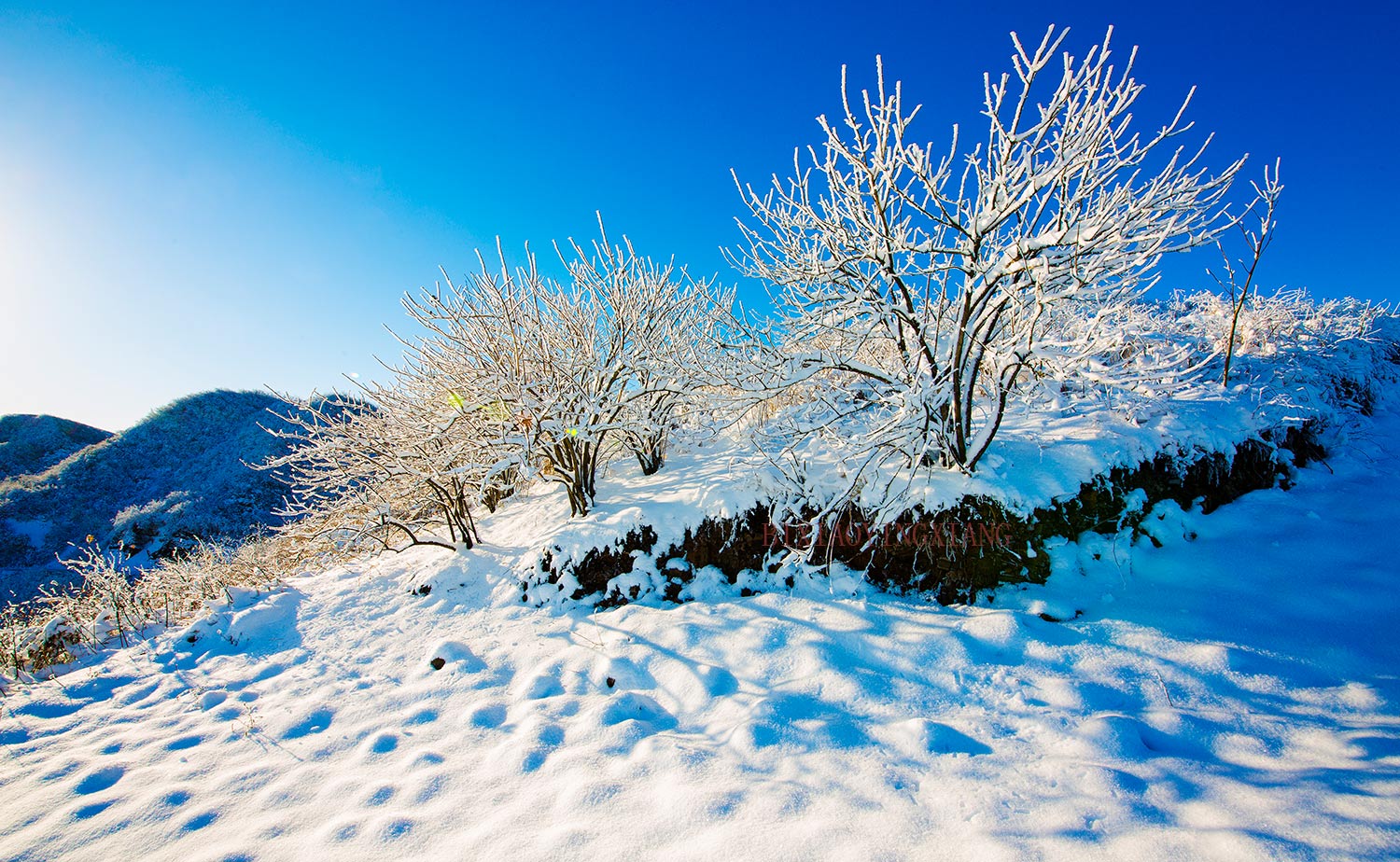 卓家垭雪景