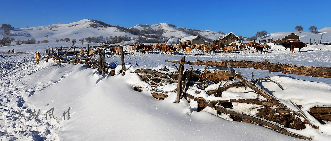 雪域风情----坝上