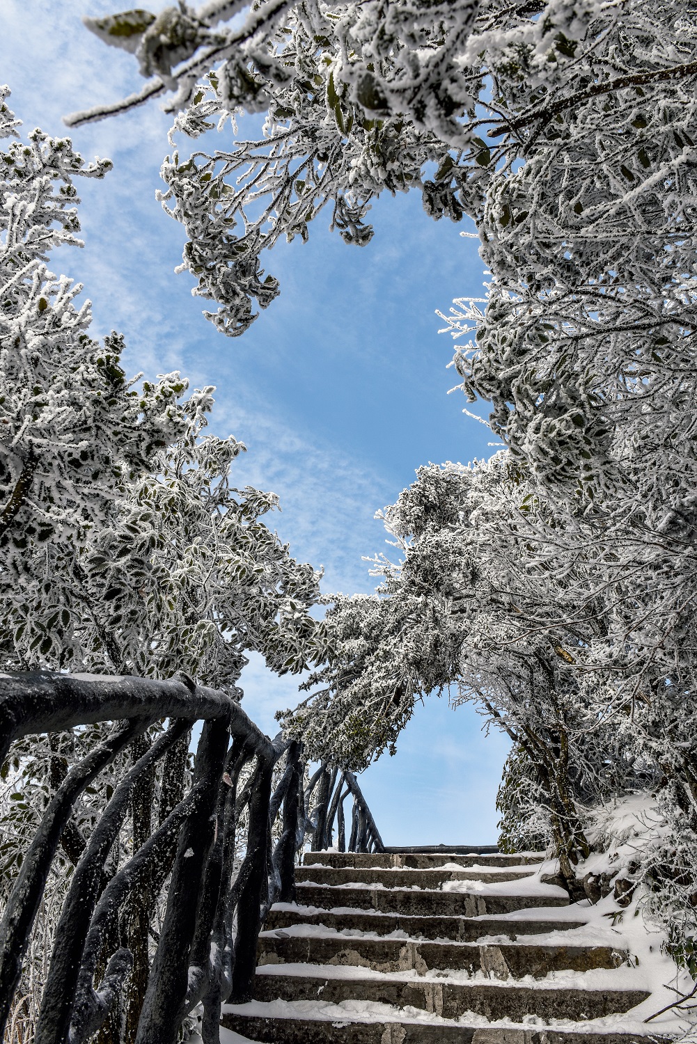 通天雪径