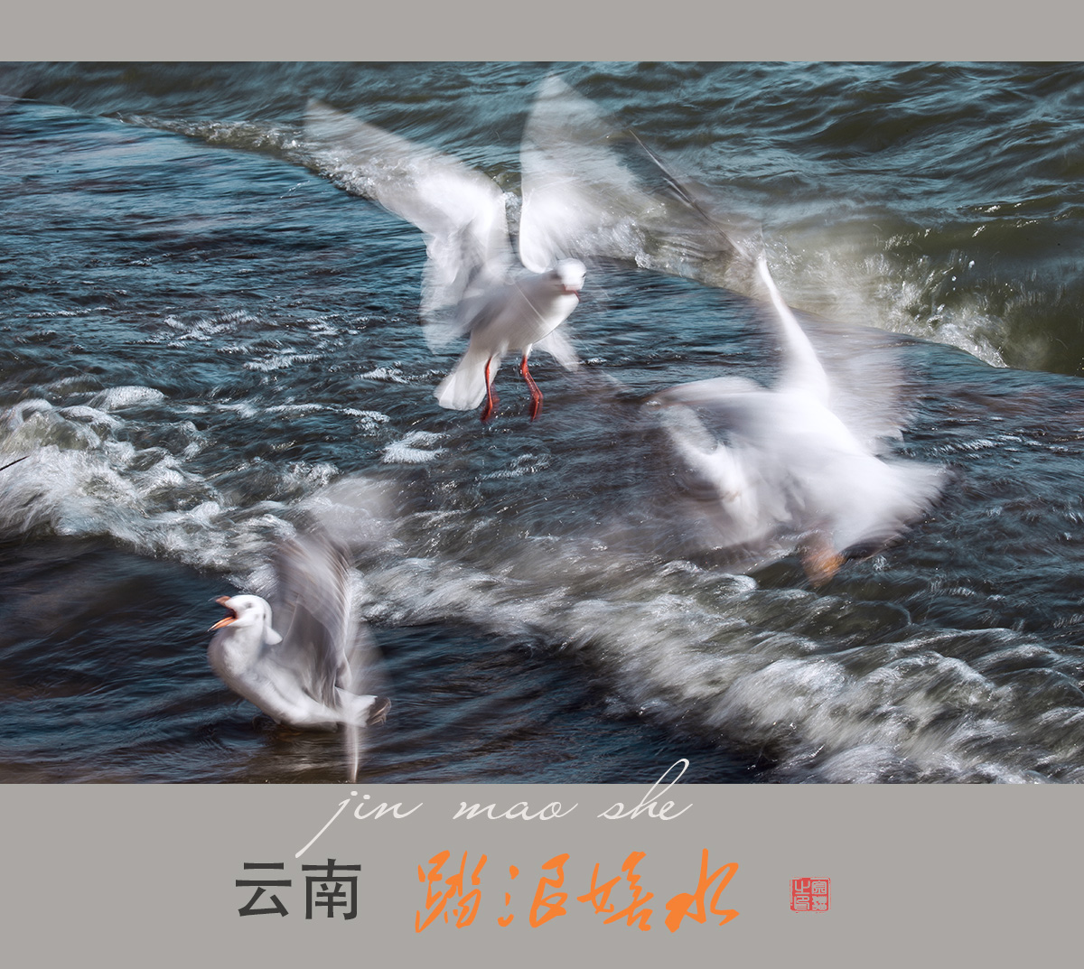 踏浪嬉水