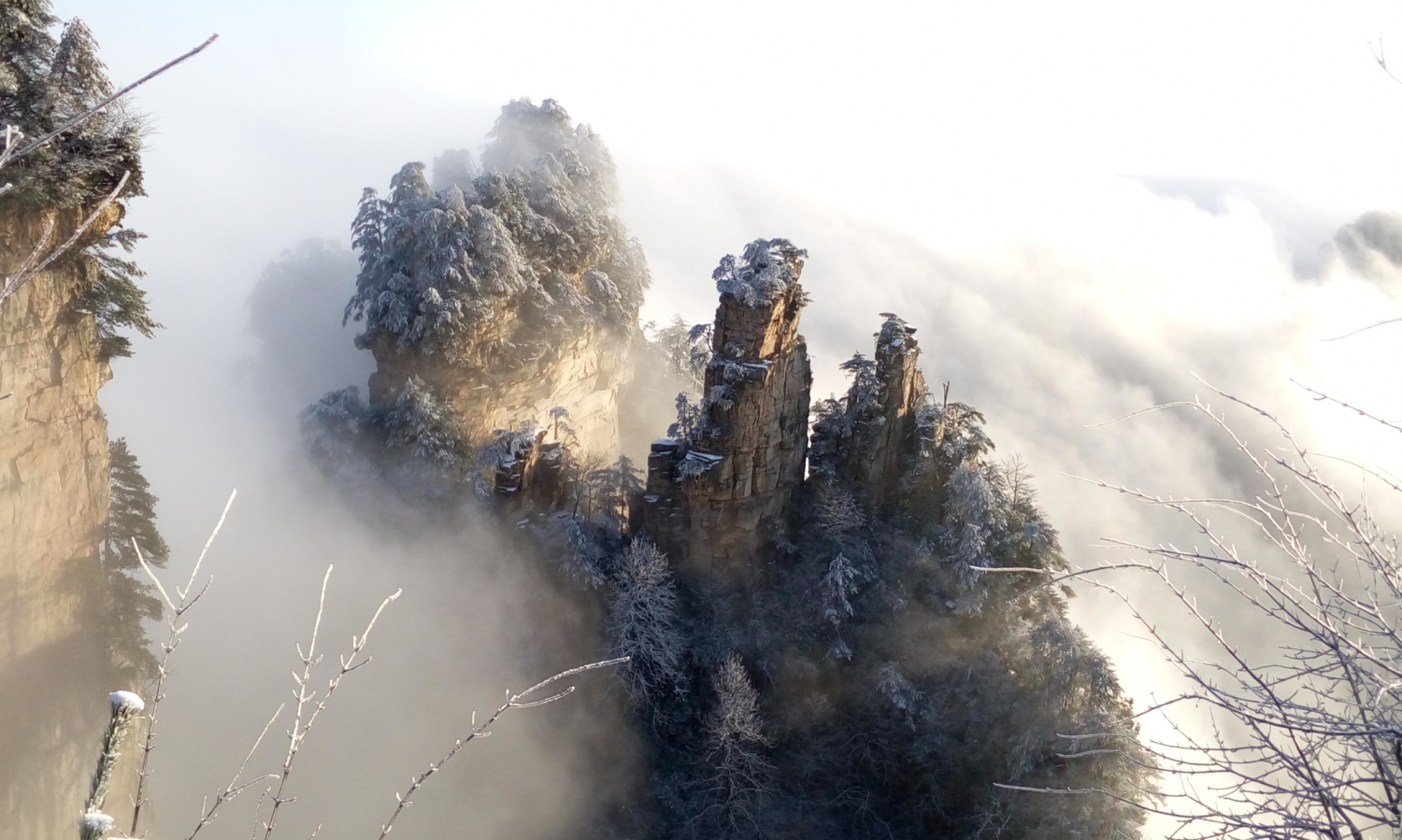 雪过了