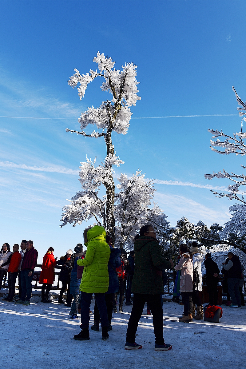 雪中一景