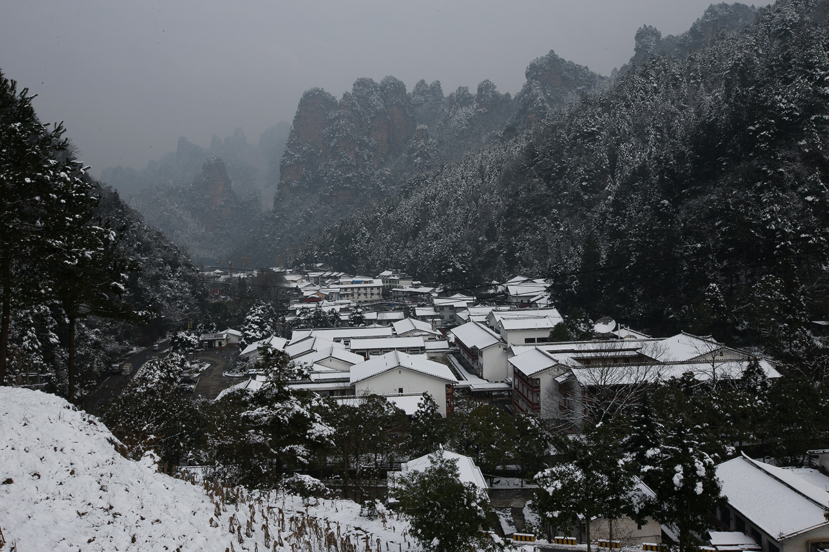 森林公园雪后