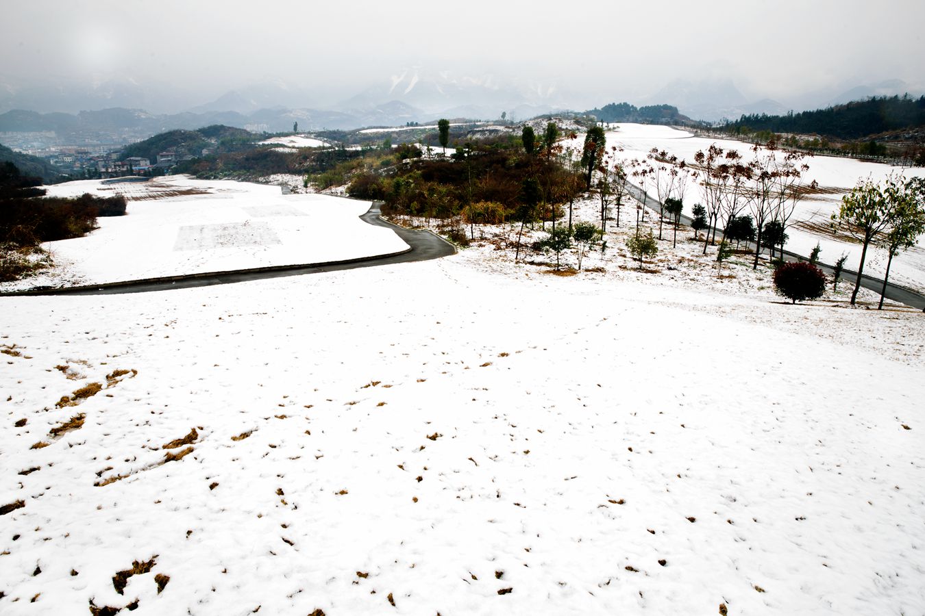 雪色世界
