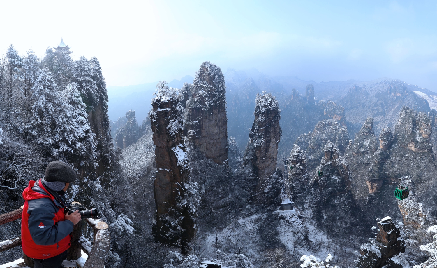 照雪