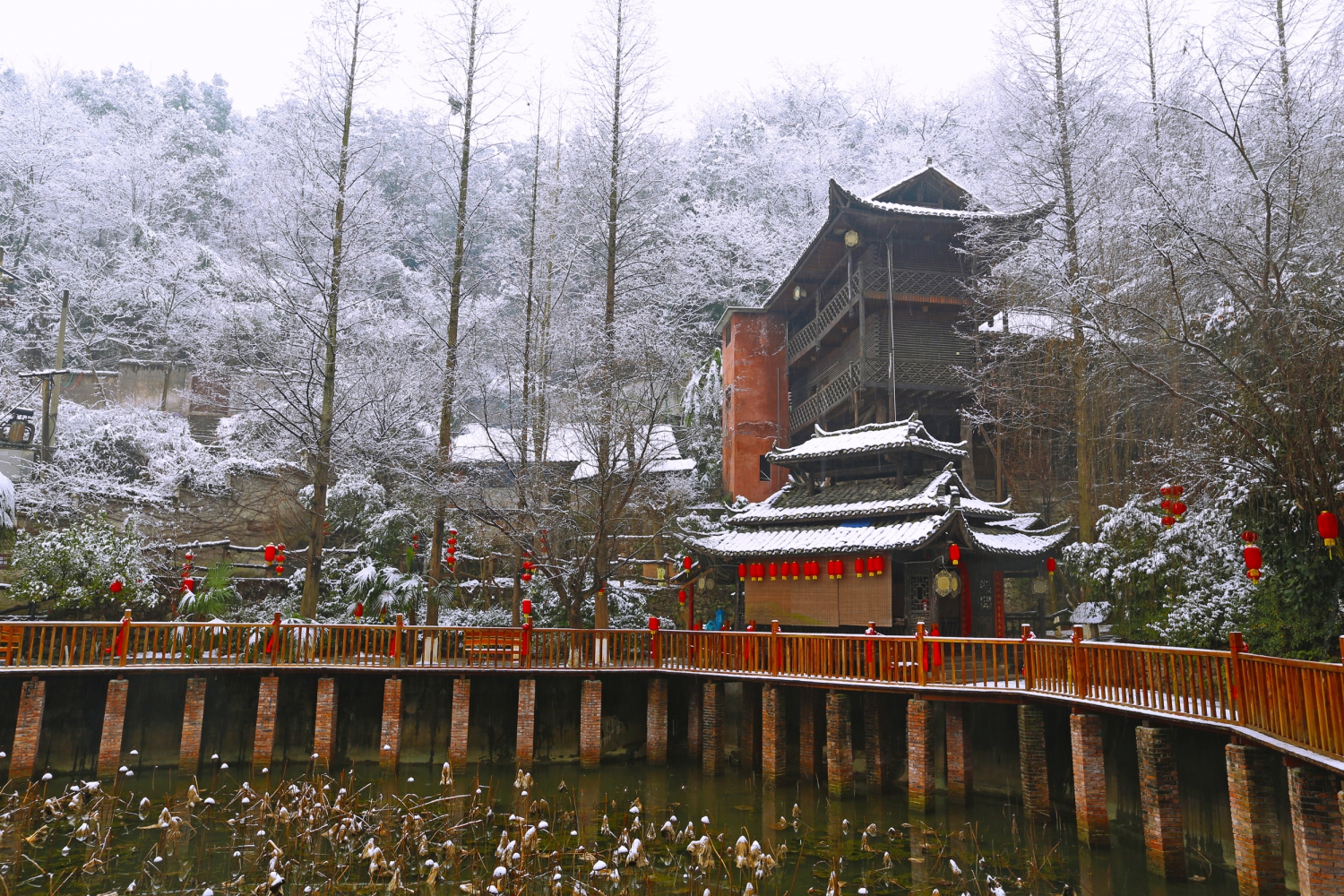 飞雪迎春