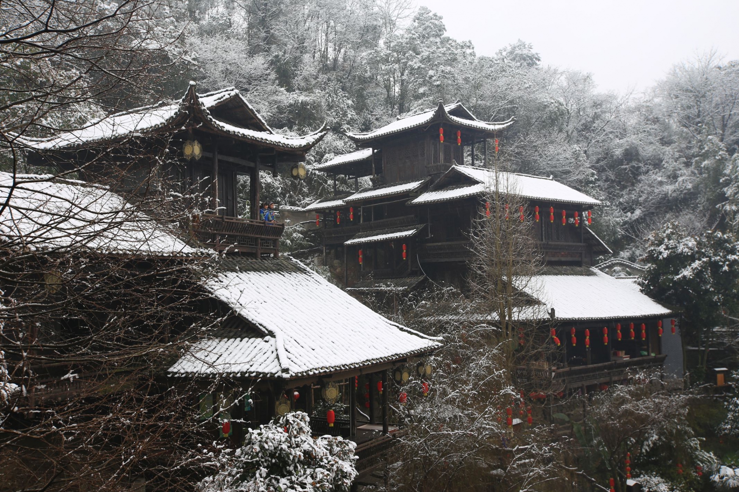 赏雪