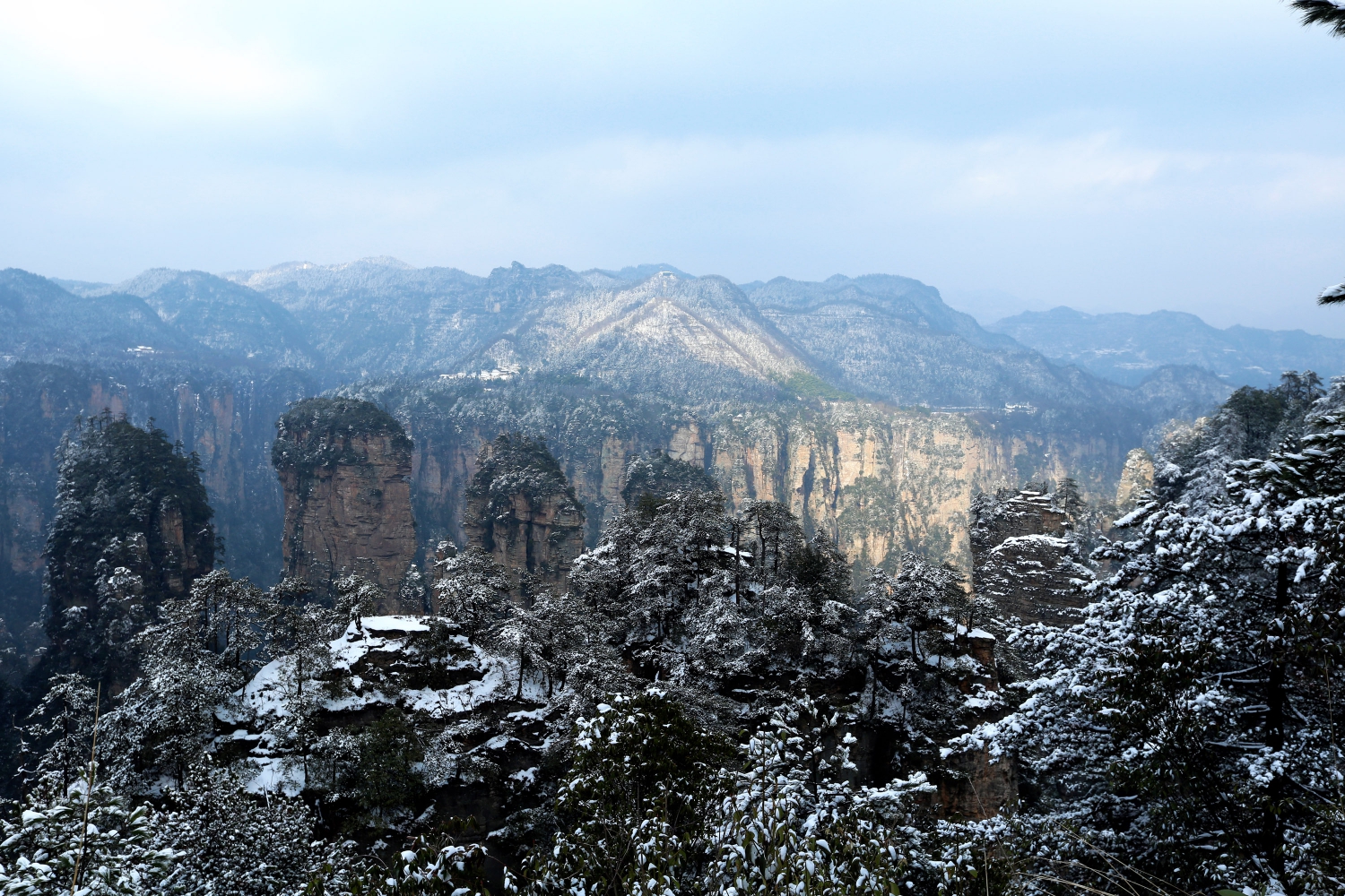 雪洒崚霄