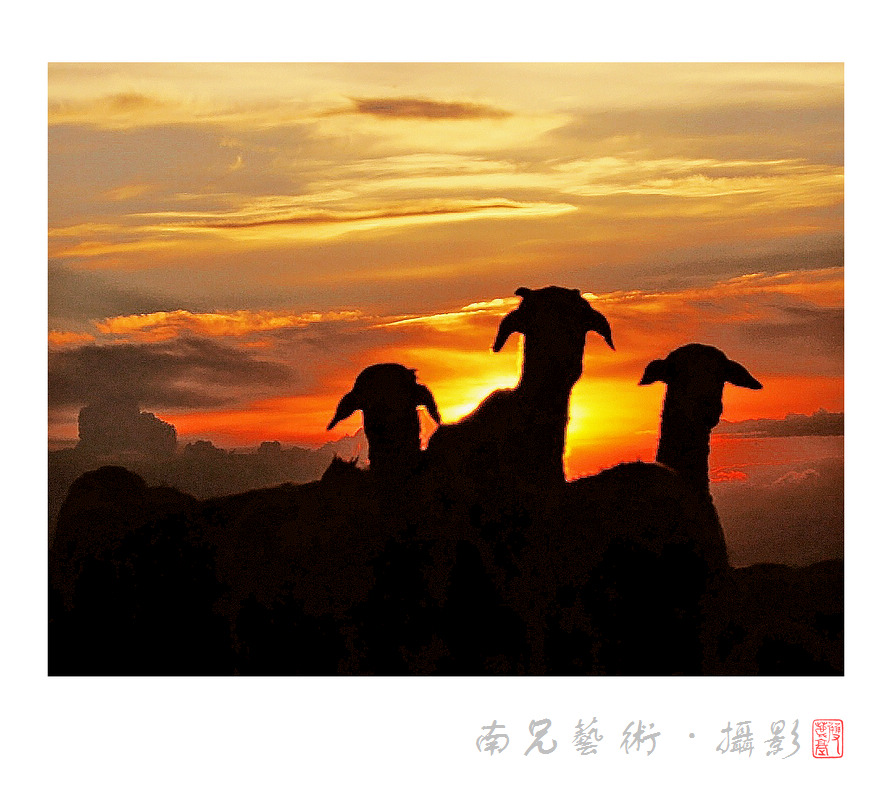 三羊开泰十二年后再见