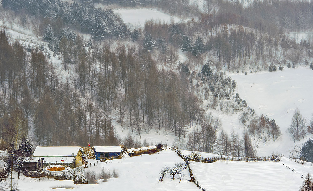 雪村正月