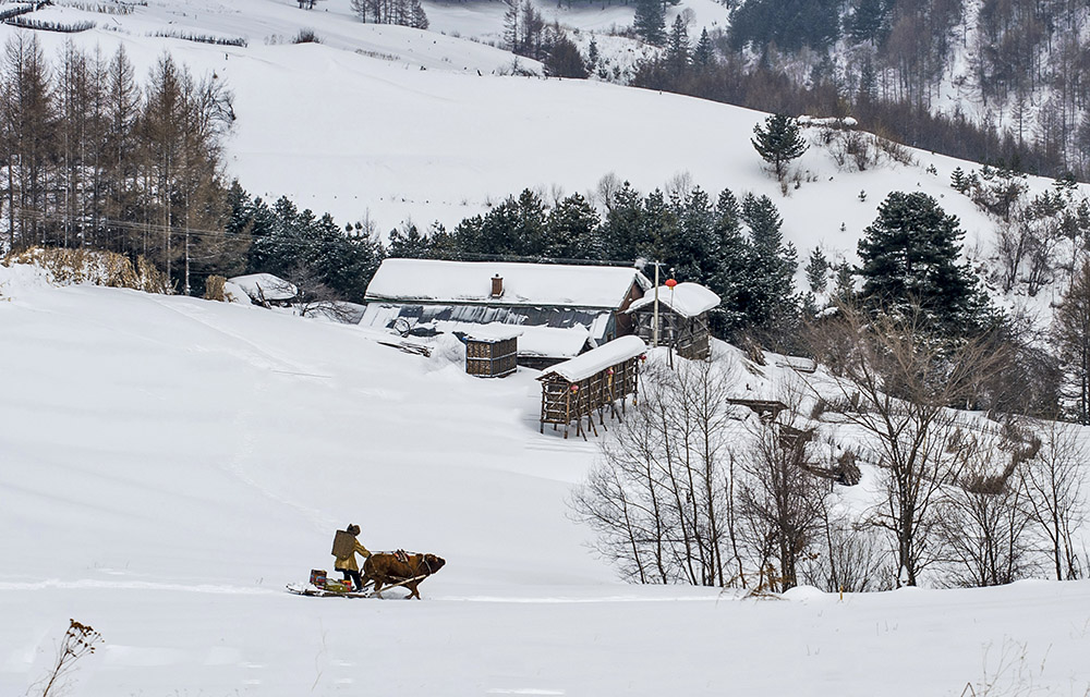 雪村正月