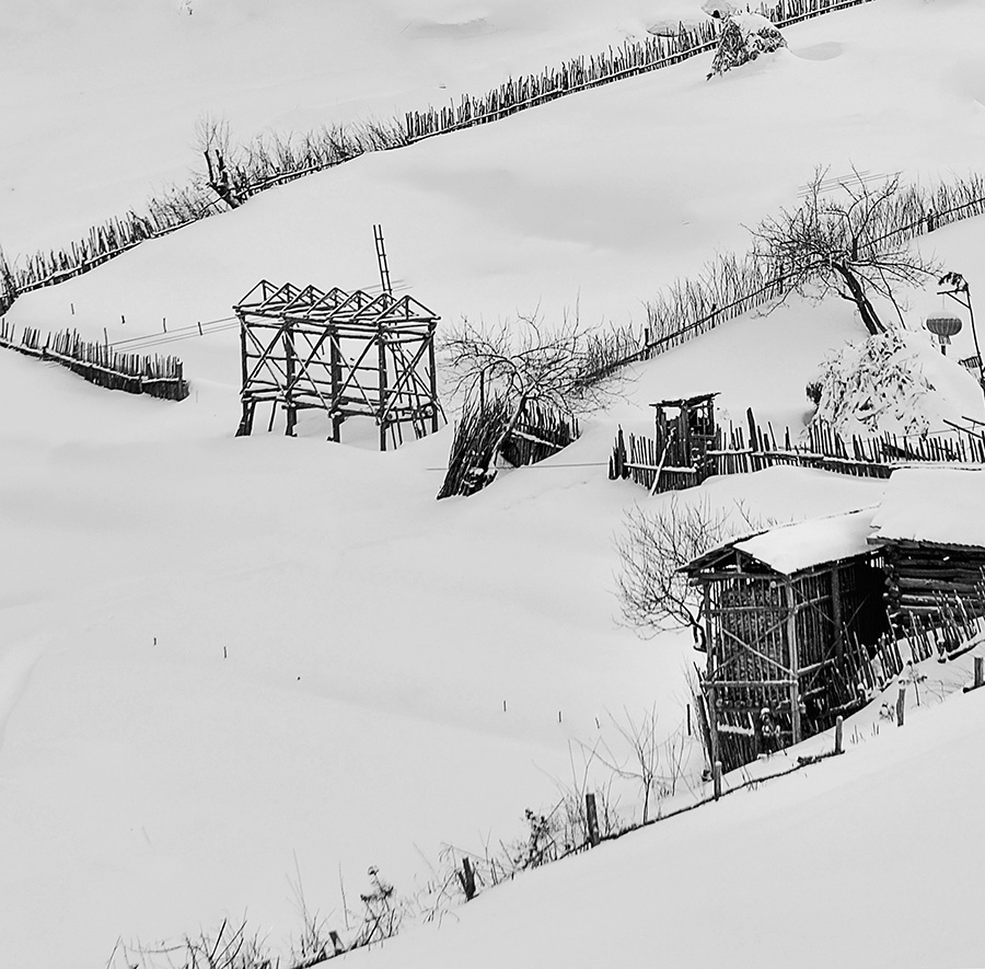雪村正月