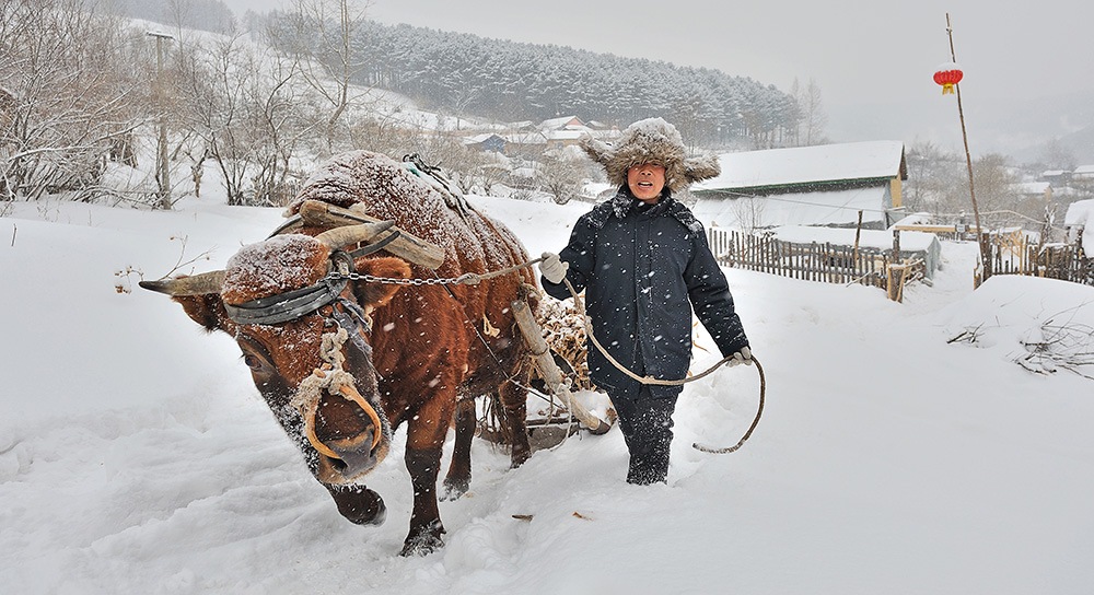 雪村正月