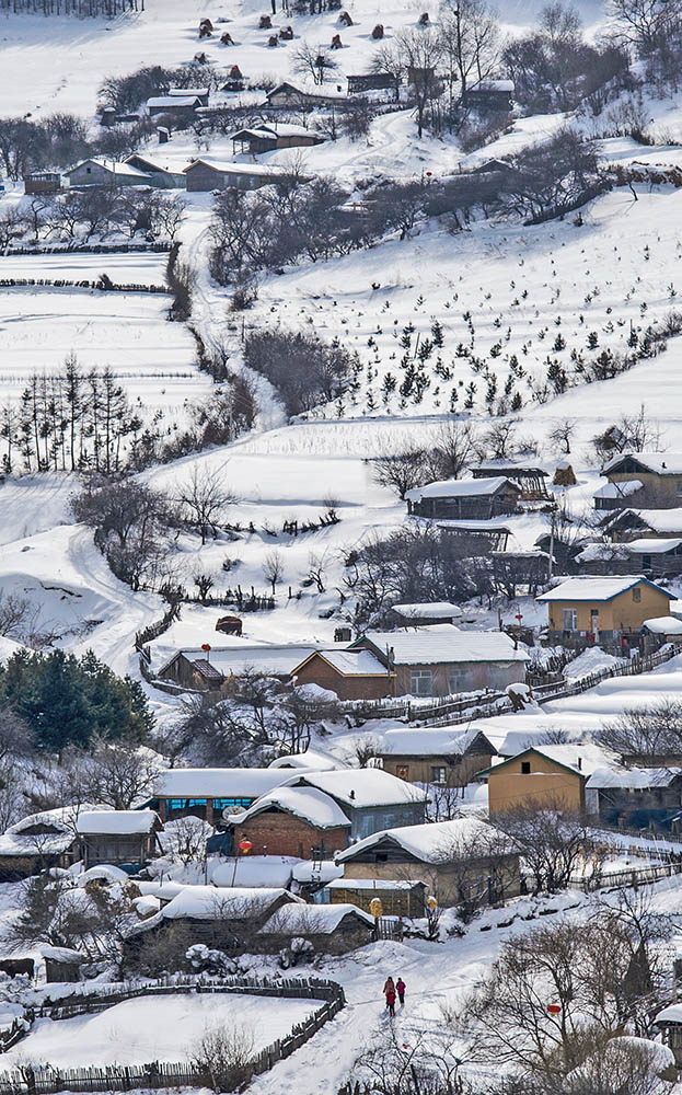 雪村正月