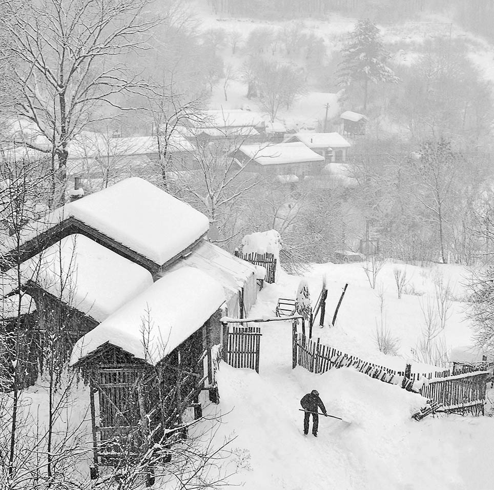 雪村正月