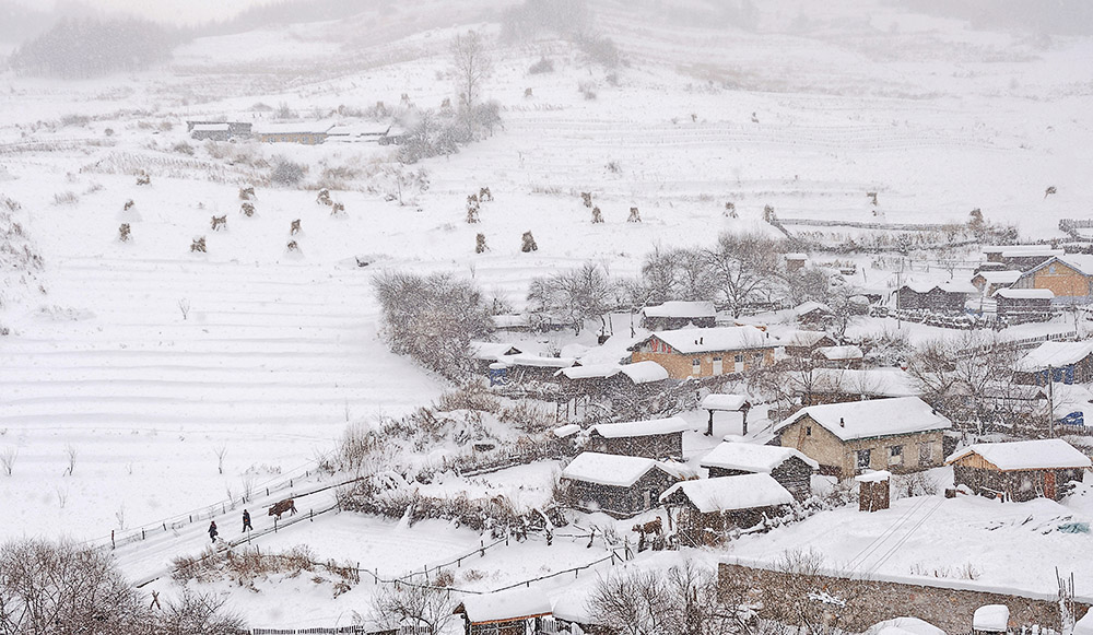 雪村正月