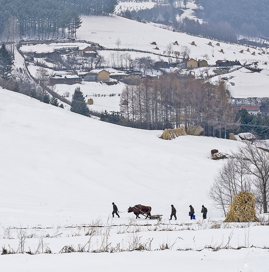 雪村正月