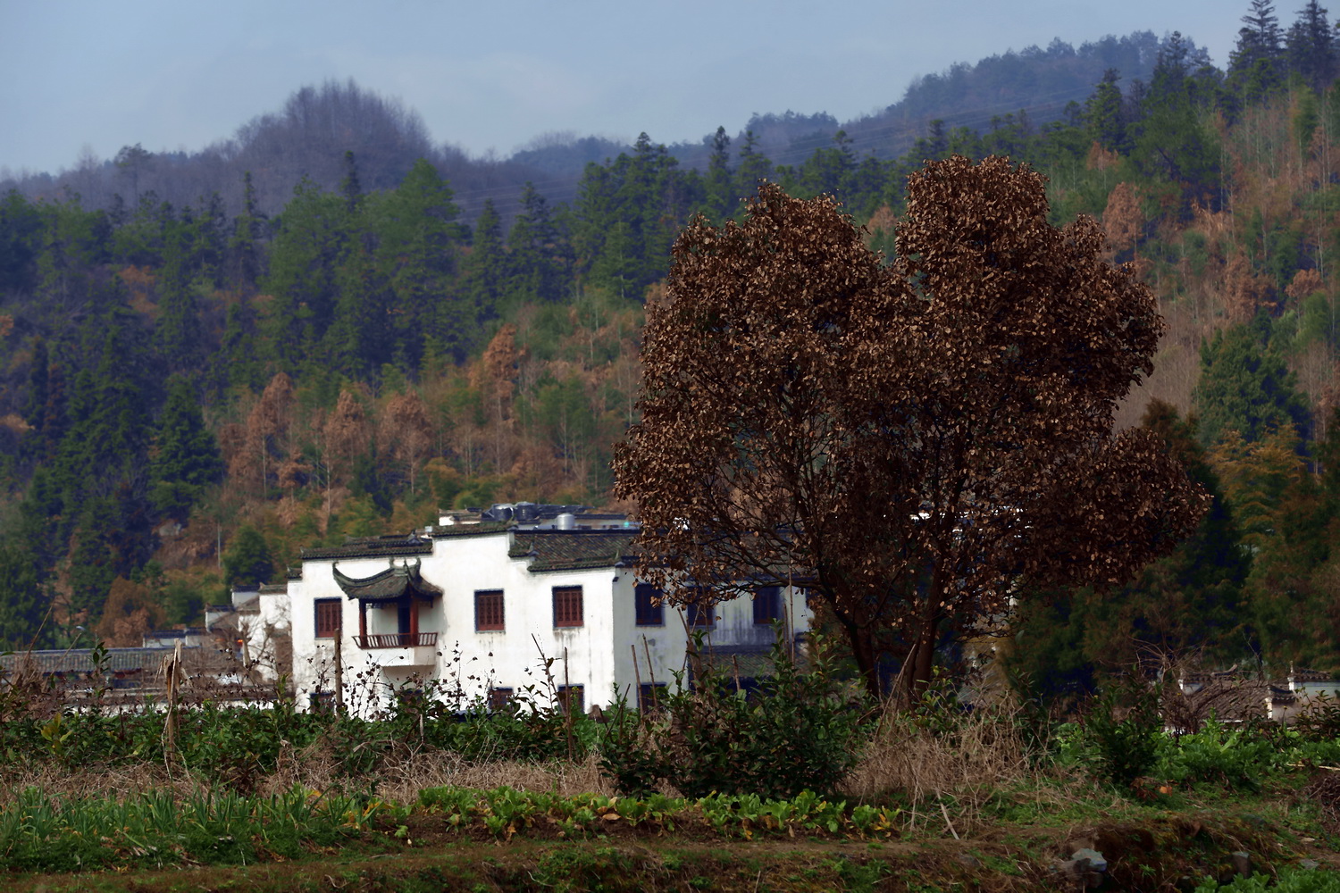 鸣沙山游客