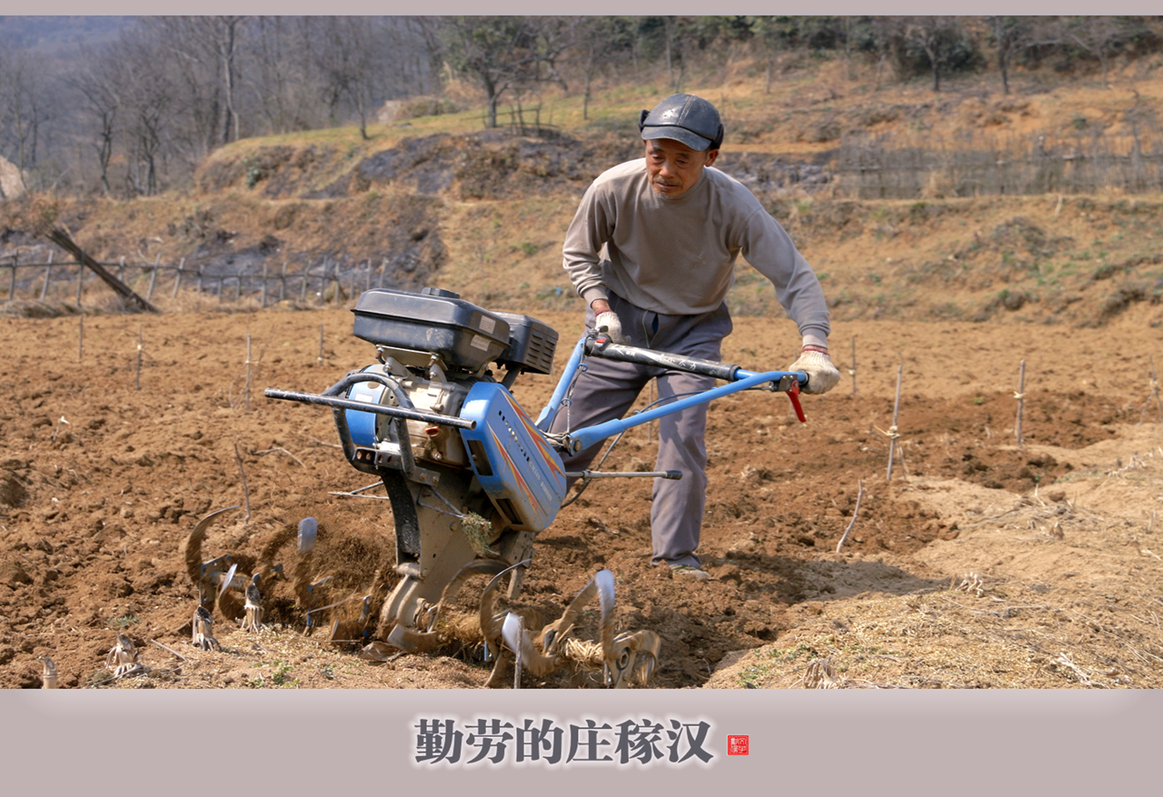 勤劳的庄稼汉