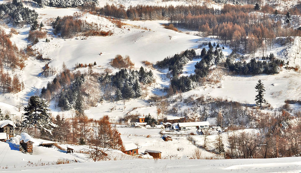 雪村正月