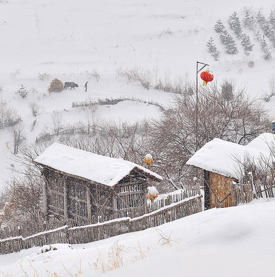 雪村正月