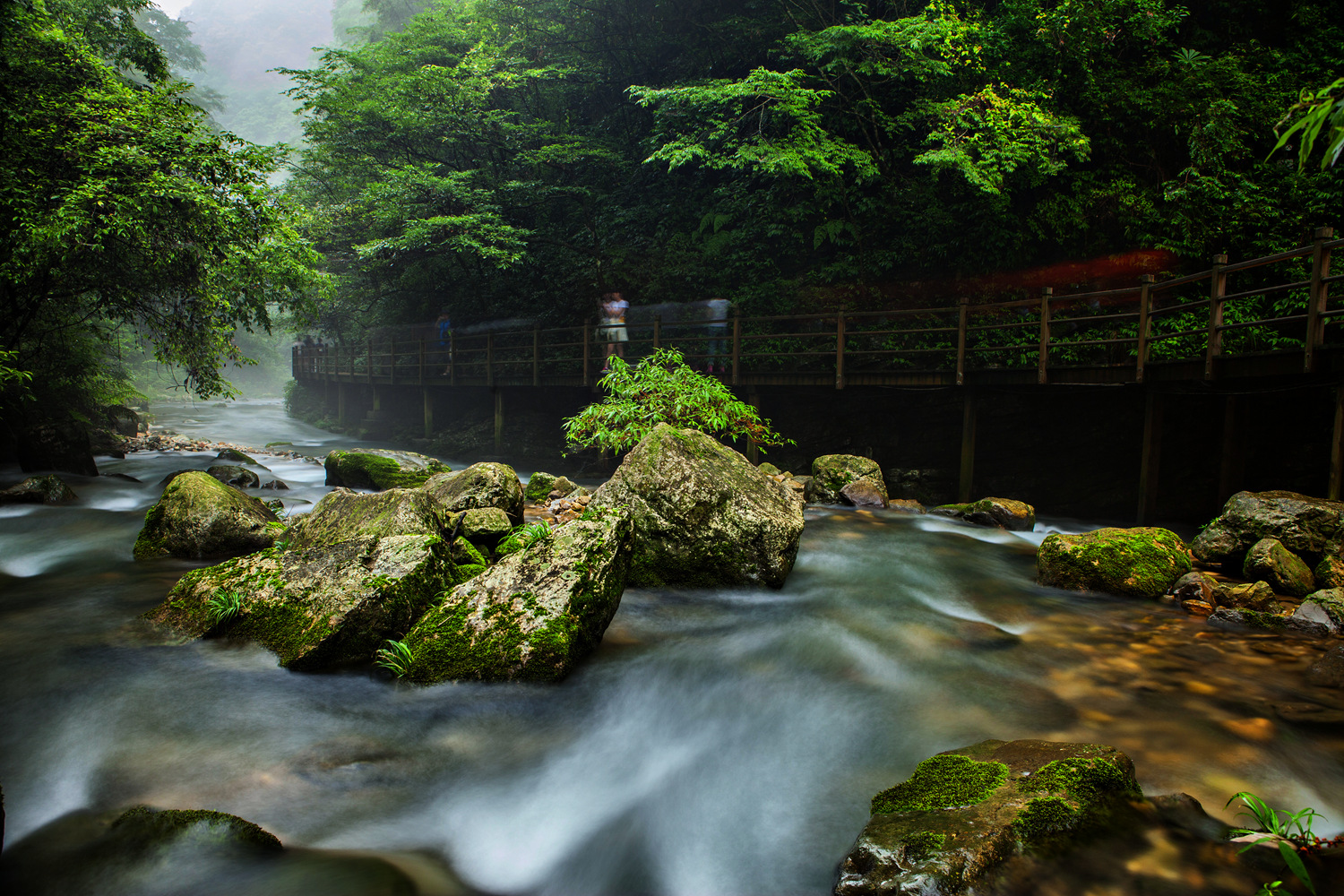 峡谷的溪水