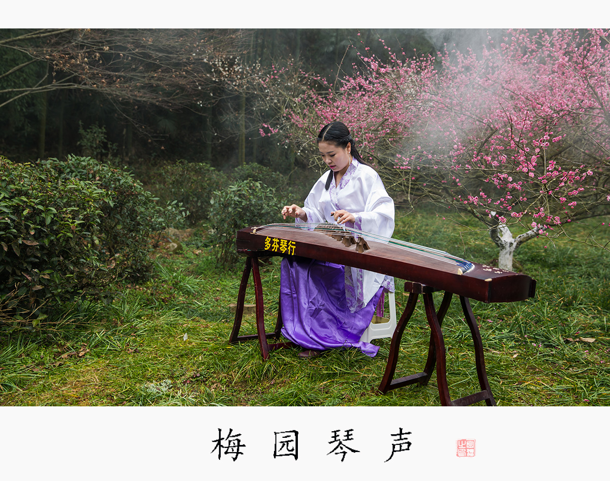 梅园琴声