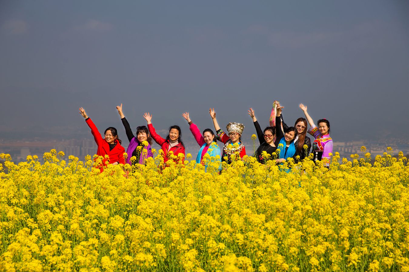 美丽的田园