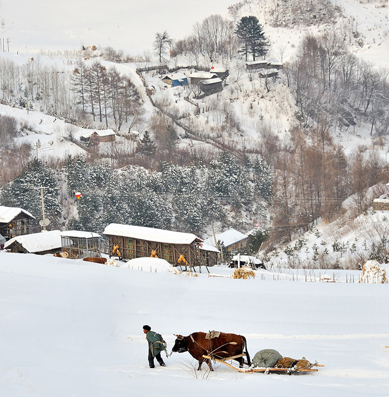 雪村正月