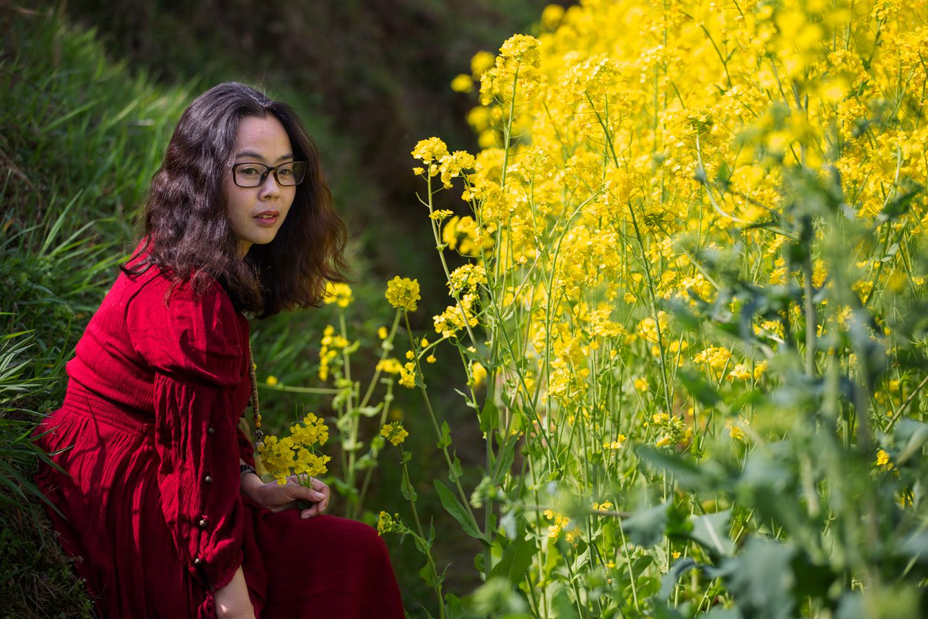 黄花之恋