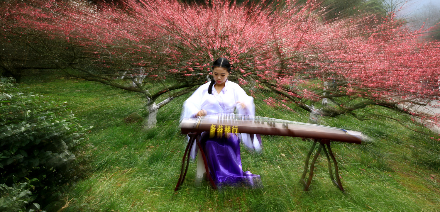 梅园古筝美曲