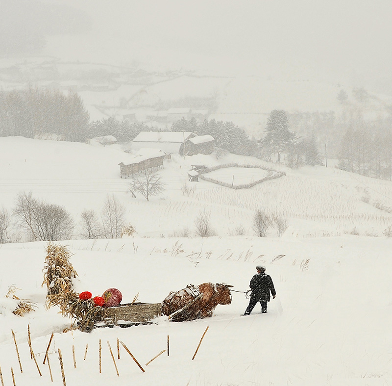 雪村正月