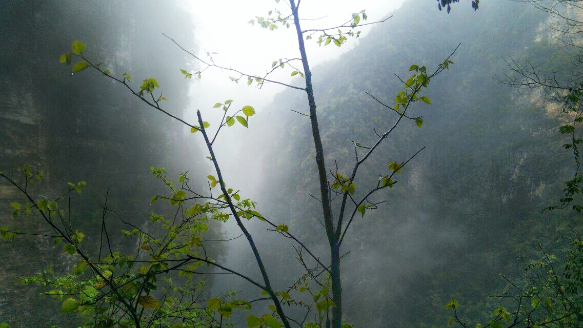 天马行空