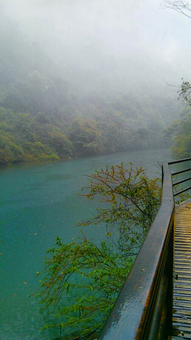 廊桥遗梦