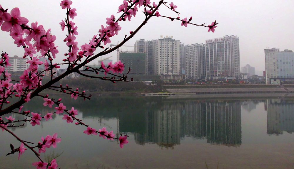 澧水河边春天来（一）