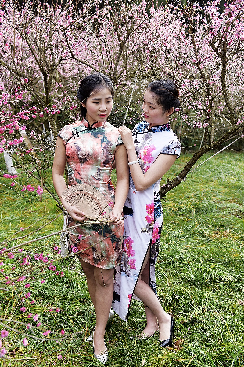 梅花园里俏佳人3