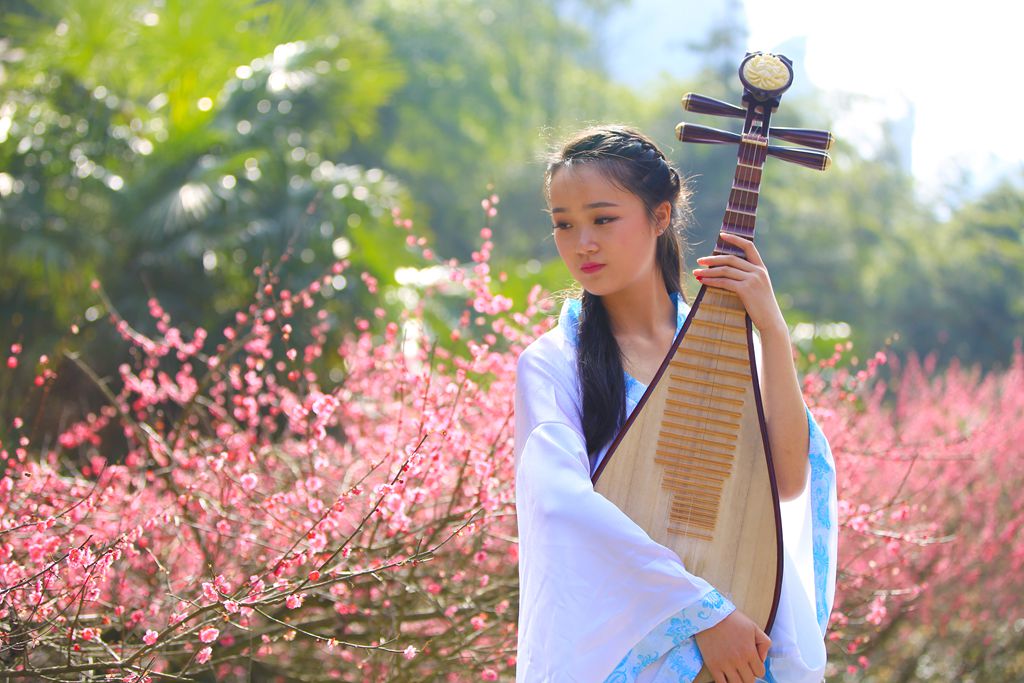 琴与美女五