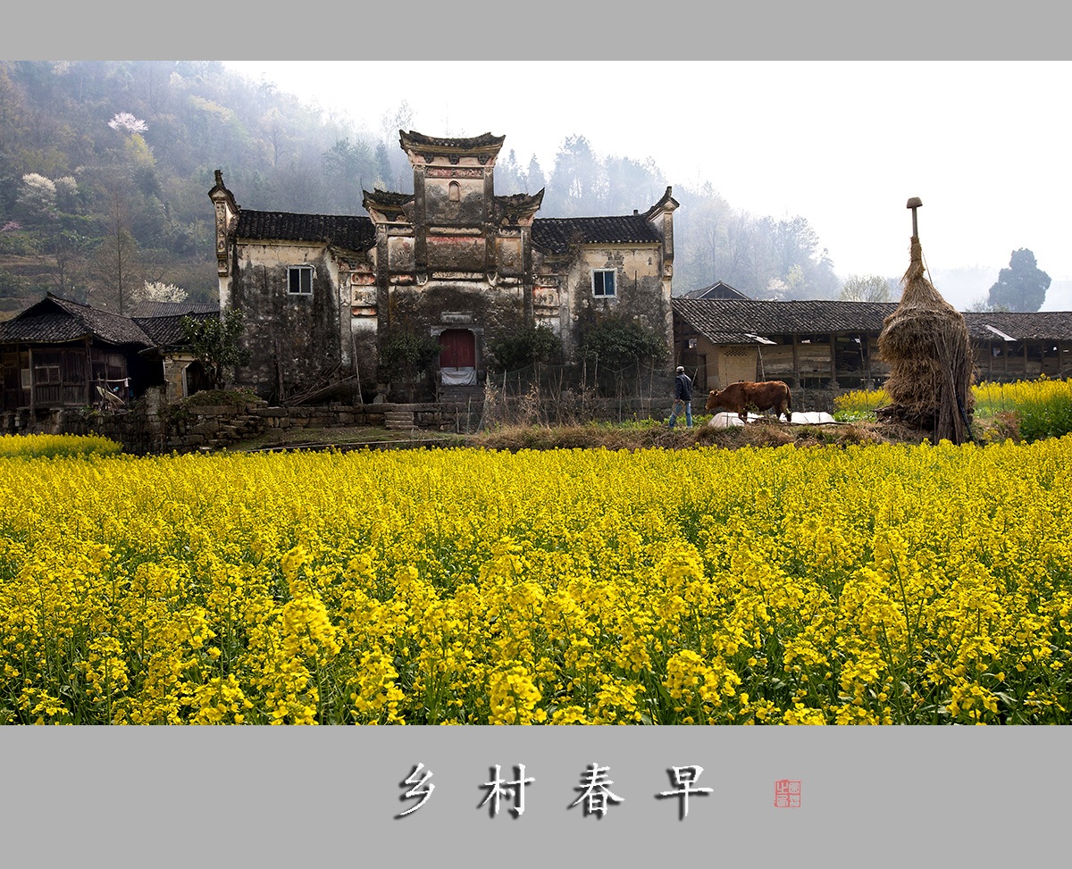 乡村春早