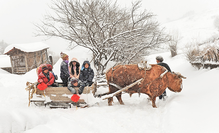 雪村正月