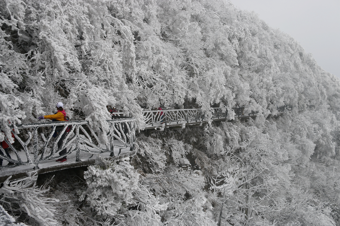 初春观雪景