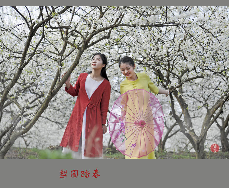 梨园踏春