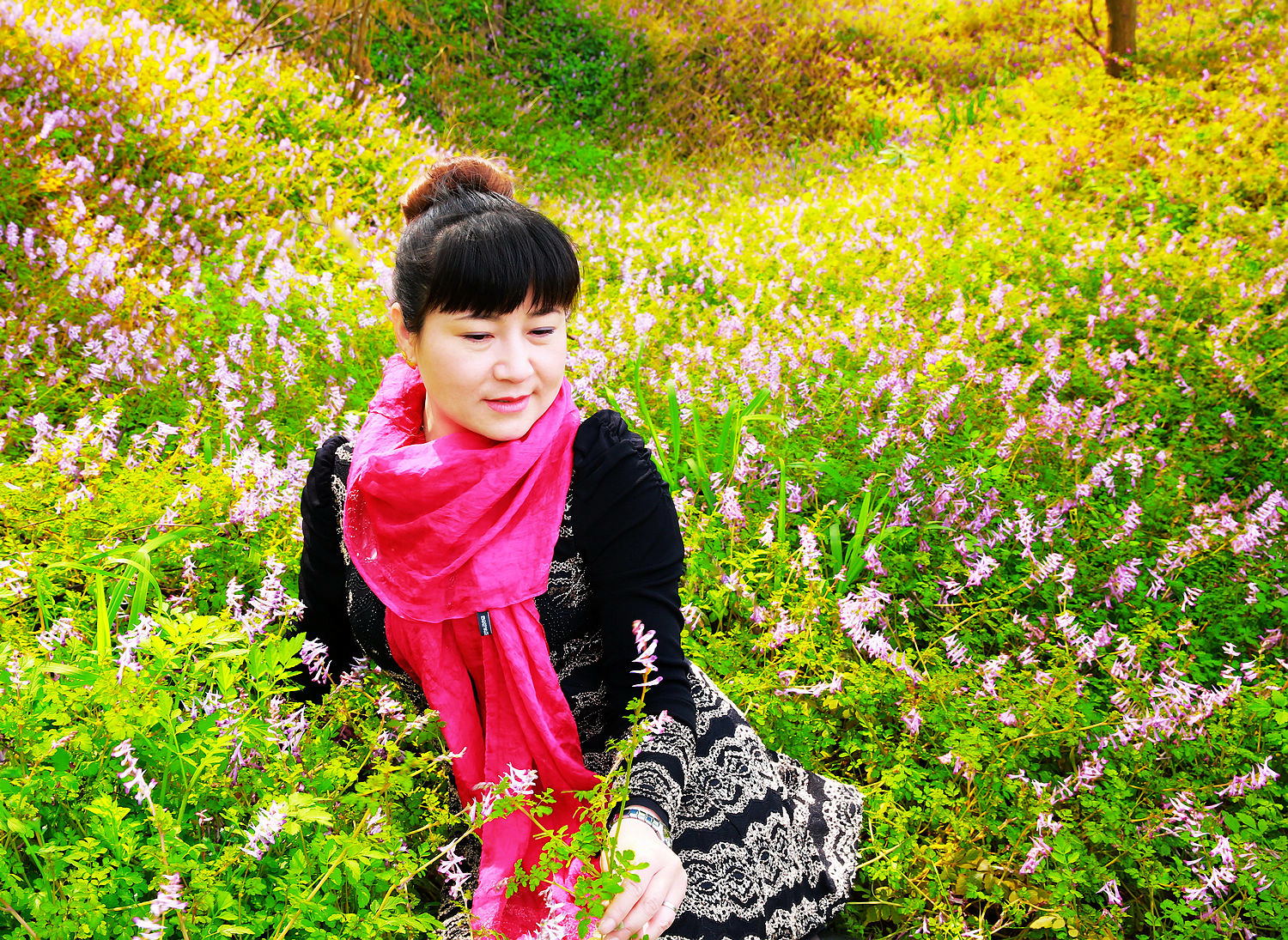 赏花