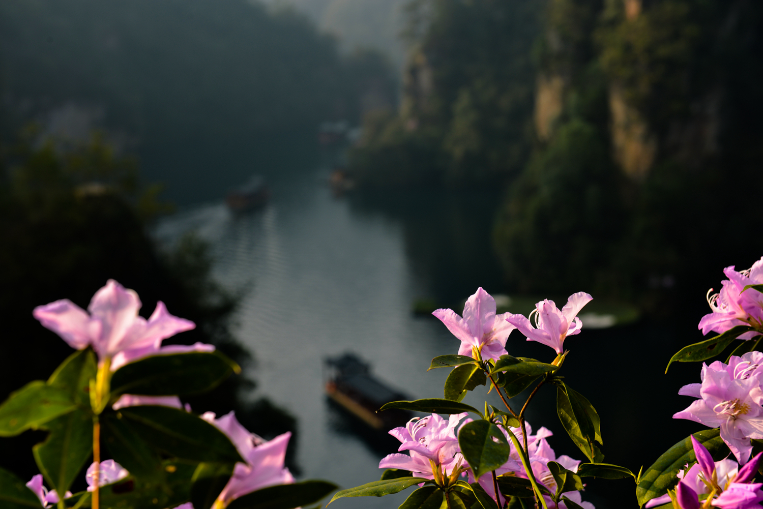 情湖闹春