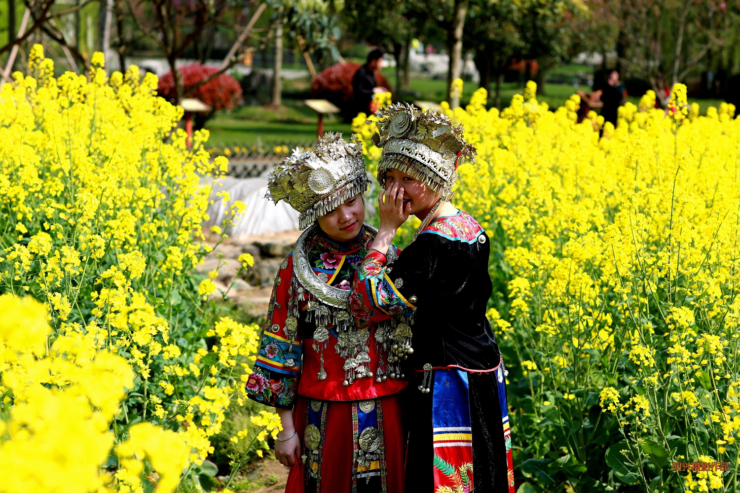 花间私语