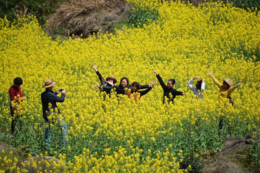 三月春风烂漫时······