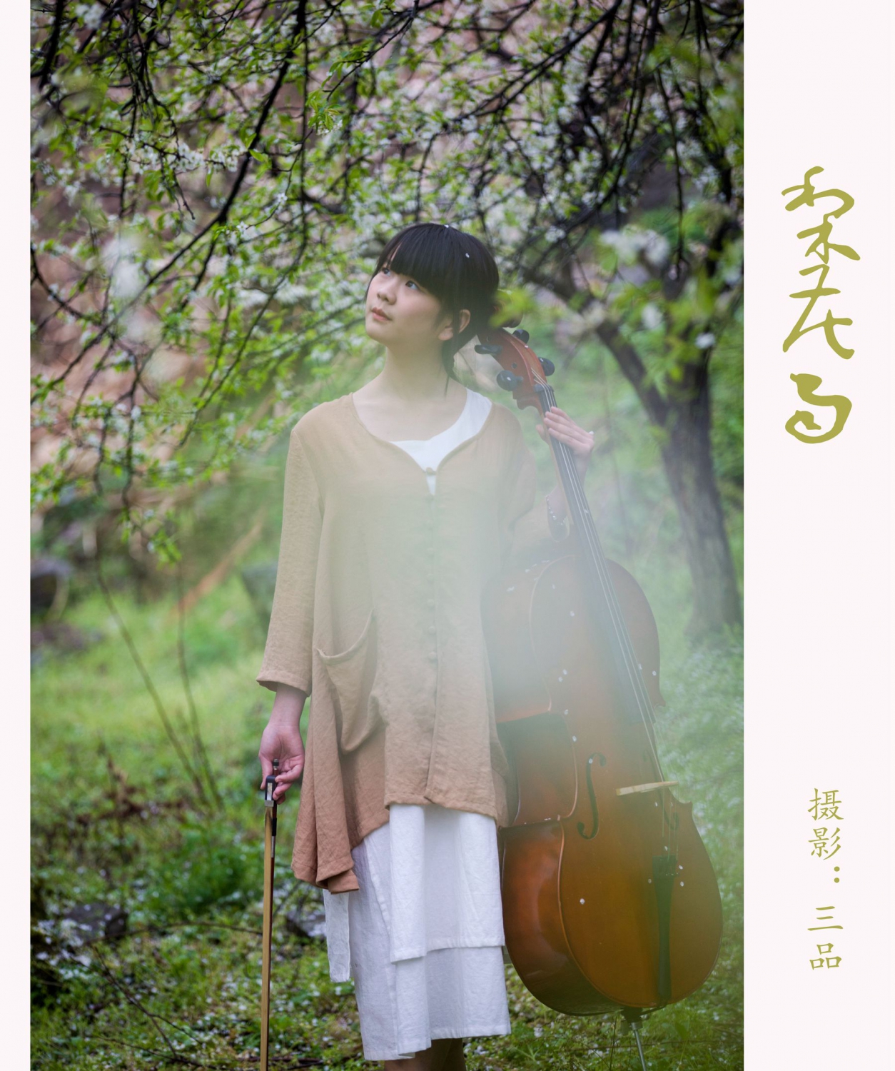 梨花雨4