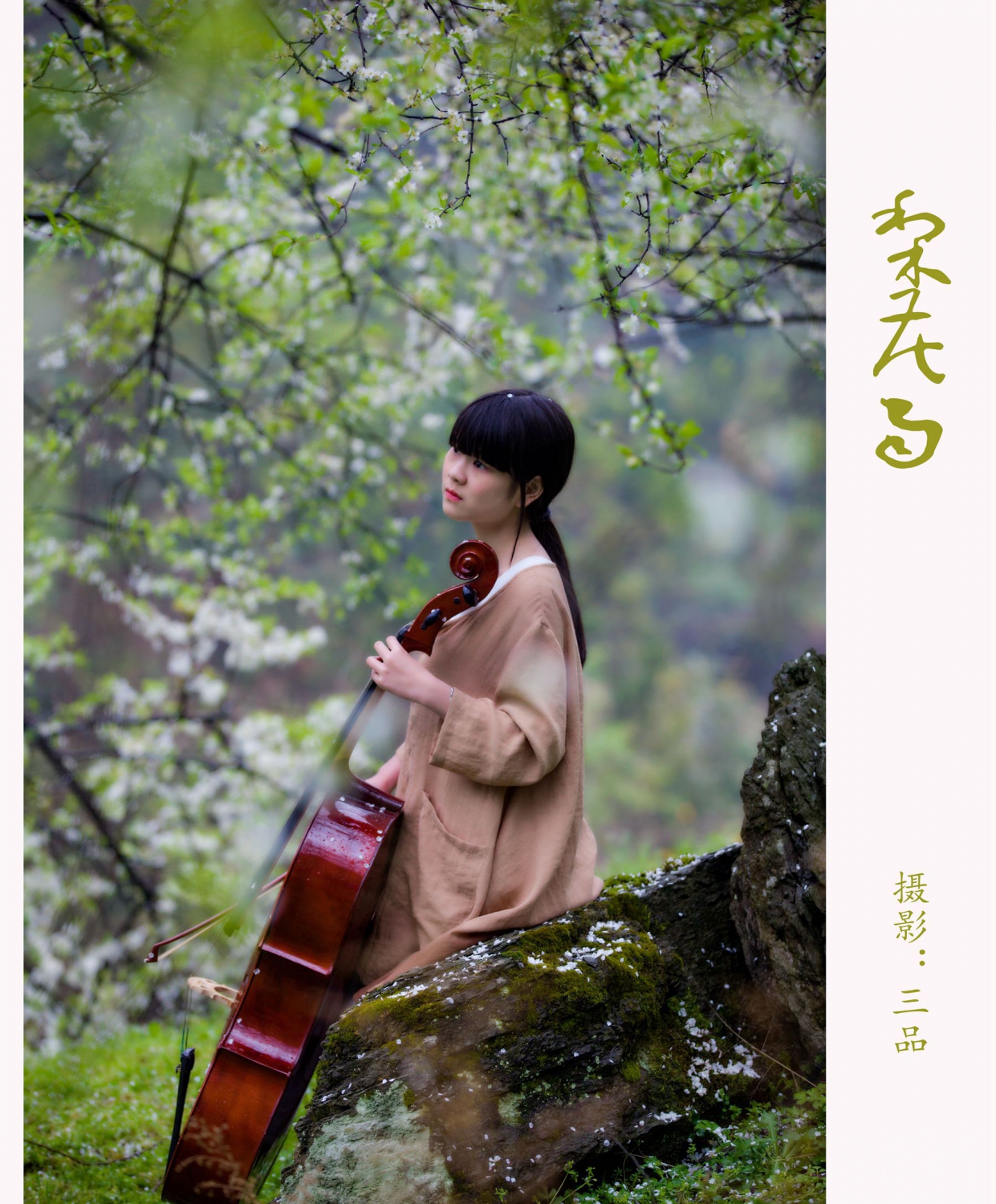 梨花雨2